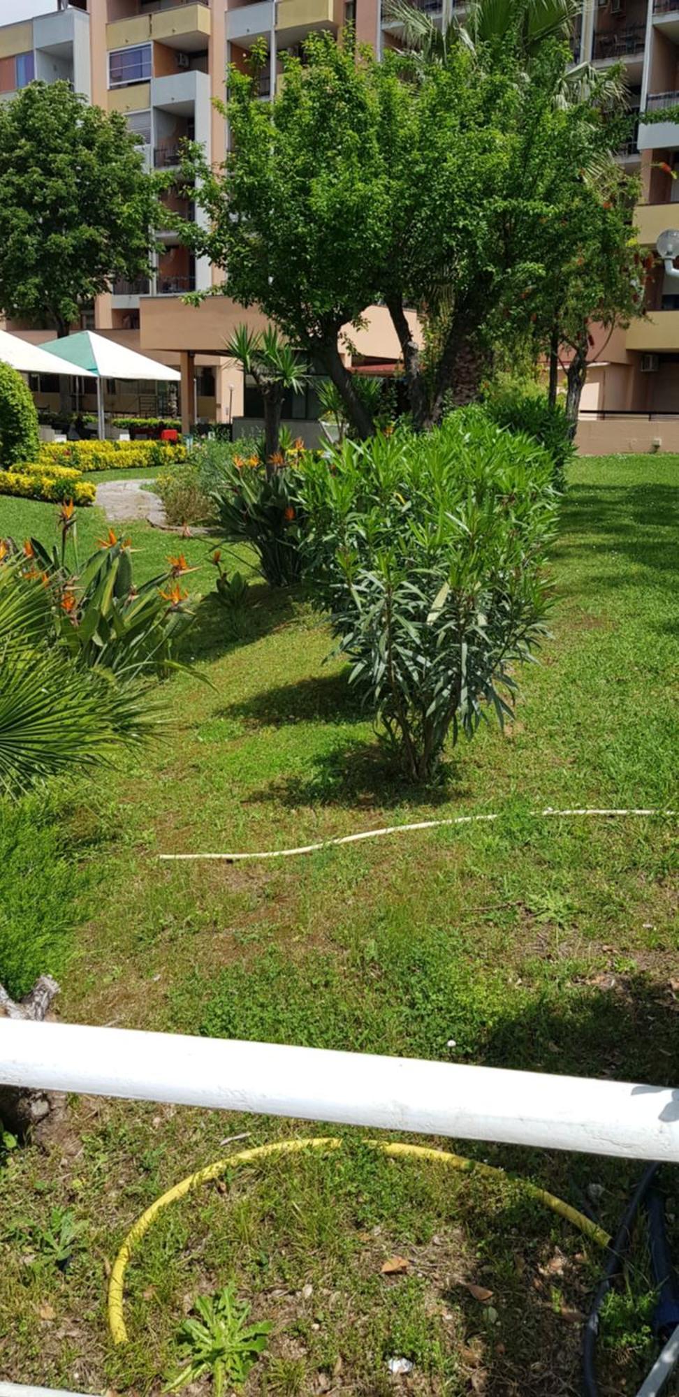 Green Oasis Rom Exterior foto
